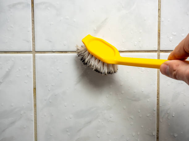 Best Residential Mold Removal  in Jackson, MI