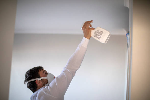 Best Certified Mold Removal  in Jackson, MI