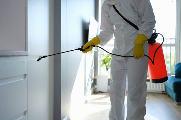 Best Emergency Mold Removal  in Jackson, MI
